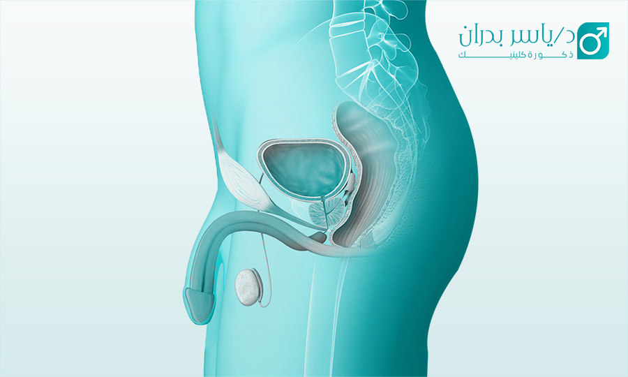 كم تكلفة عملية توسيع مجرى البول ما هي عملية توسيع مجرى البول